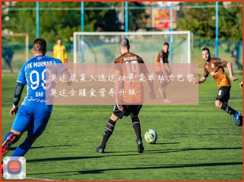 奥运蔬菜入选运动员菜单助力巴黎奥运会膳食营养升级