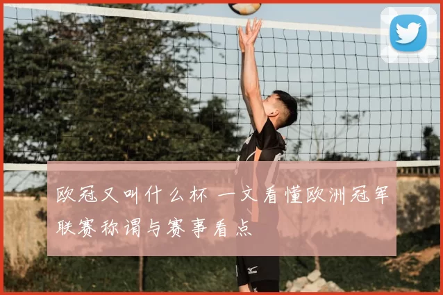 欧冠又叫什么杯 一文看懂欧洲冠军联赛称谓与赛事看点