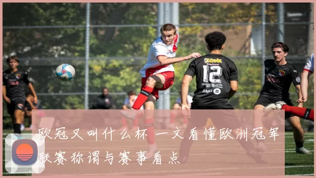 欧冠又叫什么杯 一文看懂欧洲冠军联赛称谓与赛事看点