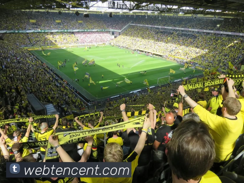 多媒体互动体验